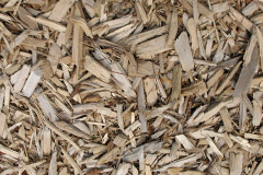 biomass boilers Brewood